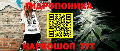 гашик Апшеронск