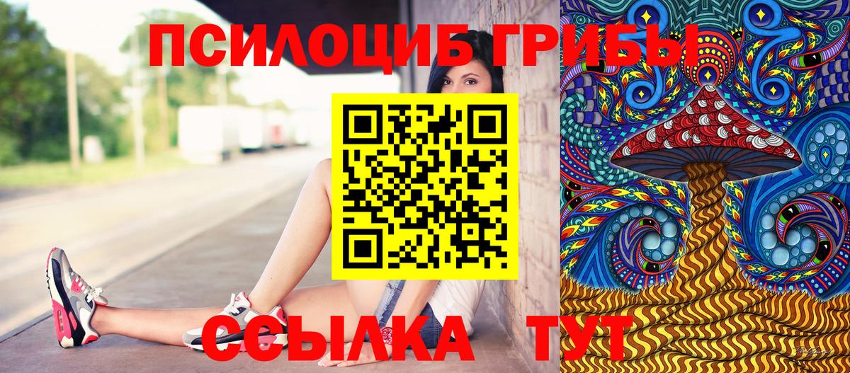Псилоцибиновые грибы мицелий Белово