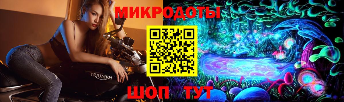 Галлюциногенные грибы мухоморы  где купить наркотик  Вход с VPN  Белово  Галлюциногенные грибы Psilocybe 
